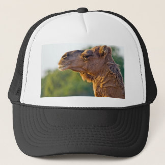 Camel Portrait Trucker Hat