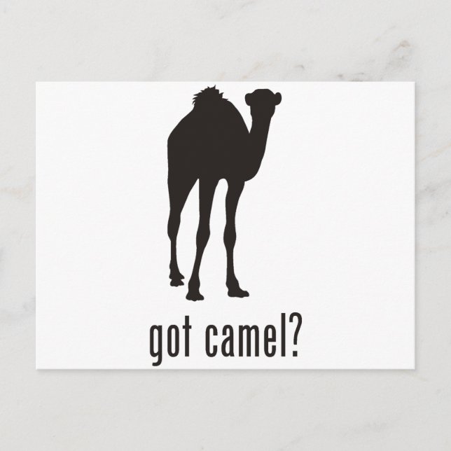 Camel Postcard (Front)