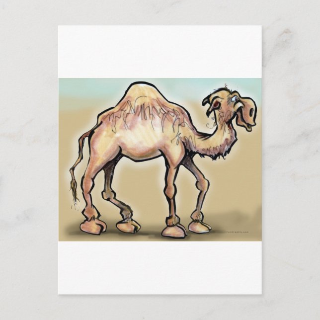 Camel Postcard (Front)