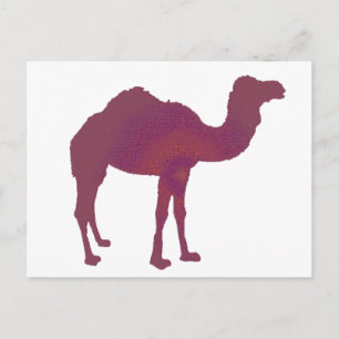 Camel Prestige Postcard