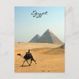 camel pyramid postcard