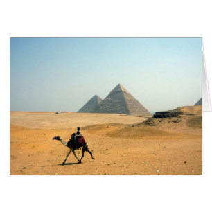 camel pyramids