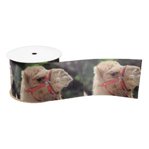Camel ribbon satin ribbon