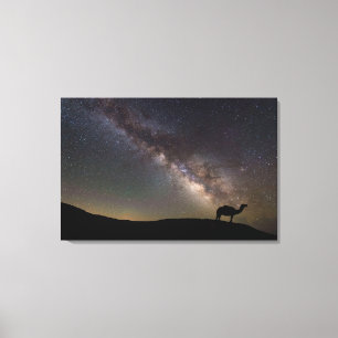 Camel Silhouette and Milkyway Canvas Print