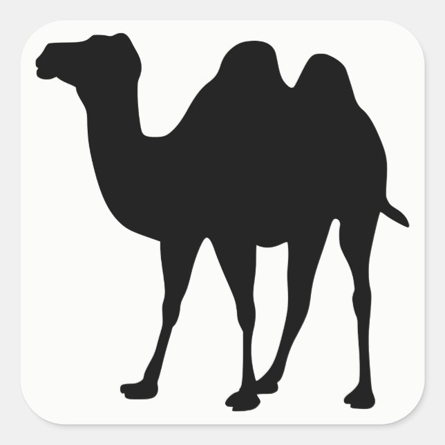 Camel Silhouette Square Sticker (Front)