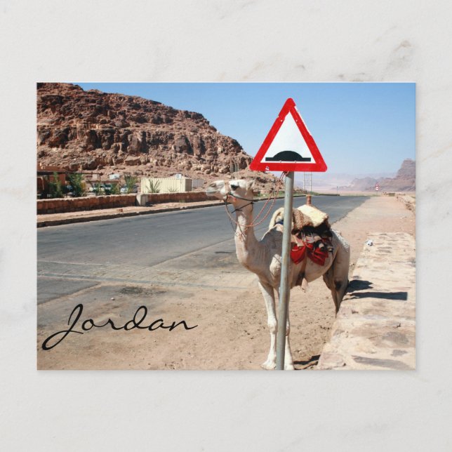 camel speed hump postcard (Front)