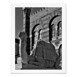 Camel Thoughts Photo Print