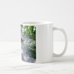 Camel Time! Zoo Animals Coffee Mug