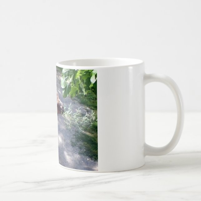 Camel Time! Zoo Animals Coffee Mug (Right)