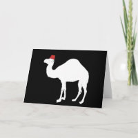 Camel Wearing A Fez