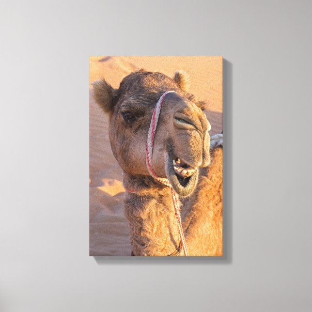 Camel with a funny facial expression canvas print (Front)