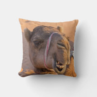 Camel with a funny facial expression - Oman