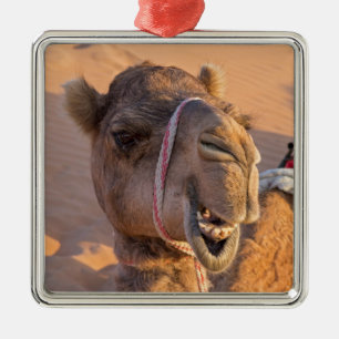 Camel with a funny facial expression - Oman Metal Tree Decoration