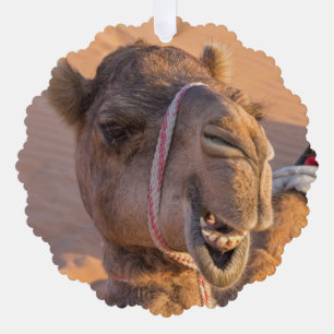 Camel with a funny facial expression - Oman Tree Decoration Card