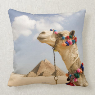 Camel with Pyramids Giza, Egypt Cushion