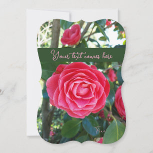 camelia card