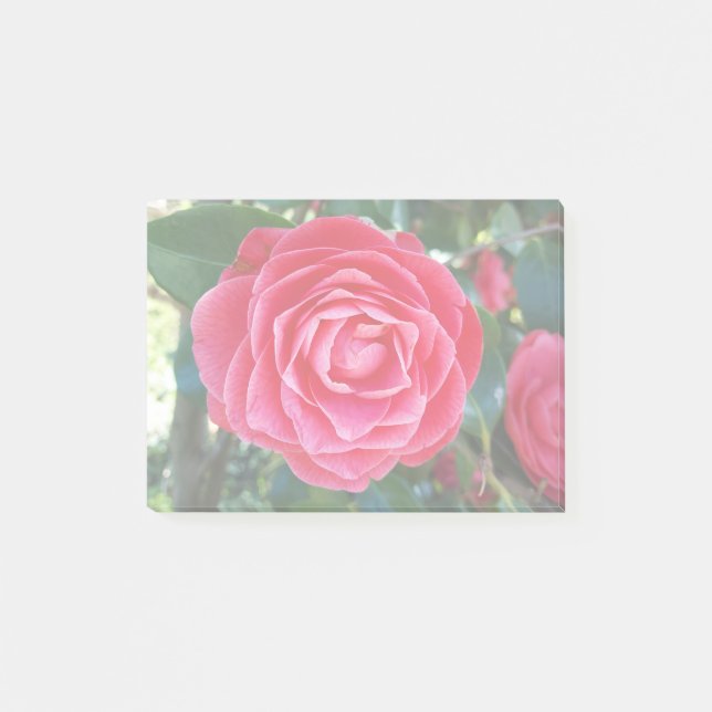 camelia Notes (Front)