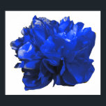 Camelia Pop Blue Poster<br><div class="desc">Colorful camelia pop art.</div>