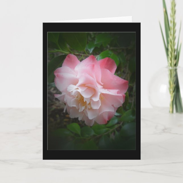 Camellia Blank Greeting Card (Front)