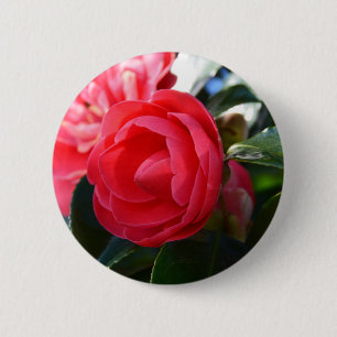 Camellia Blossom 6 Cm Round Badge