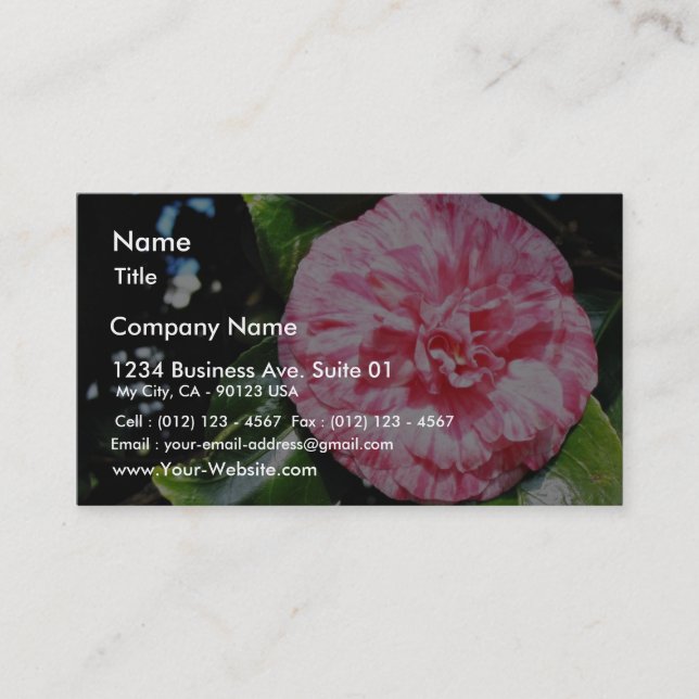 Camellia Business Card (Front)