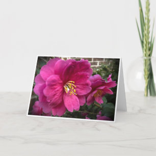 Camellia, card