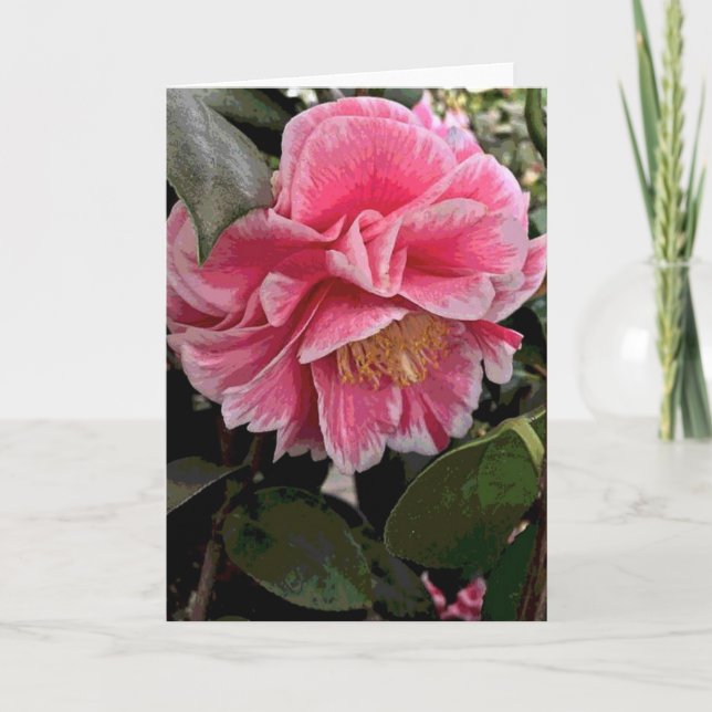 Camellia Card (Front)