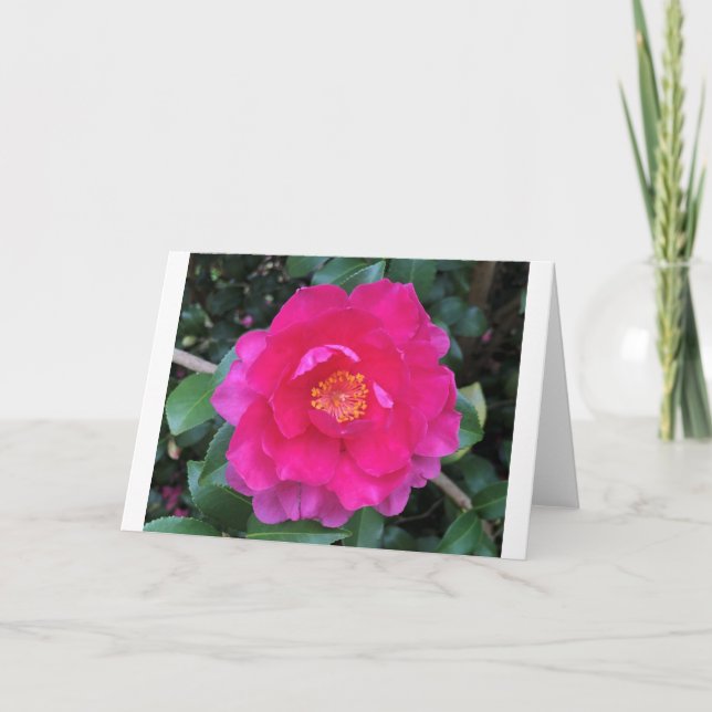Camellia, card (Front)