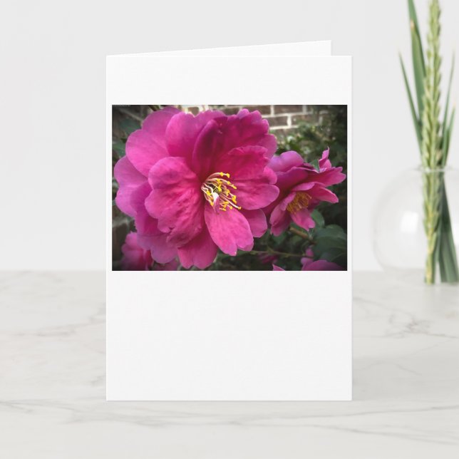 Camellia, card (Front)