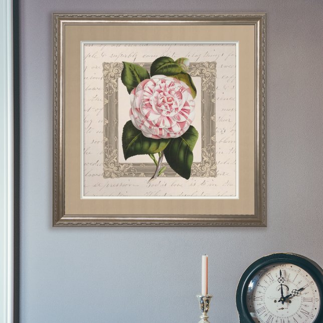 Camellia Chateau Chic Vintage Botanical Poster (Creator Uploaded)