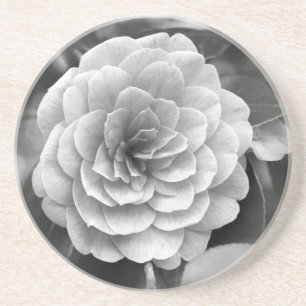 Camellia Coaster