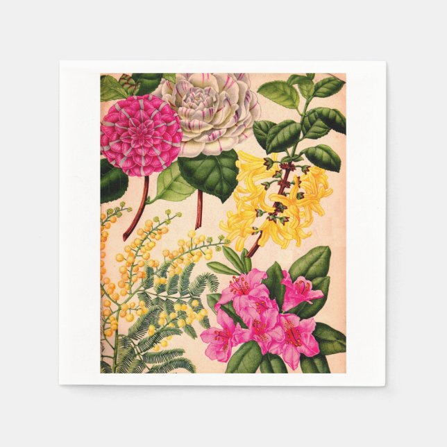 camellia, forsythia, rhododendron and acacia napkin (Front)