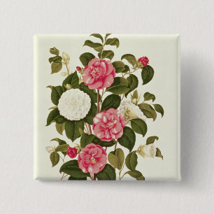 Camellia from "A Monograph on the Genus' 15 Cm Square Badge