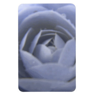 Camellia Frozen Beauty Premium Magnet
