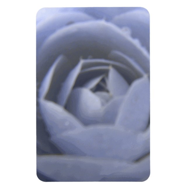 Camellia Frozen Beauty Premium Magnet (Vertical)