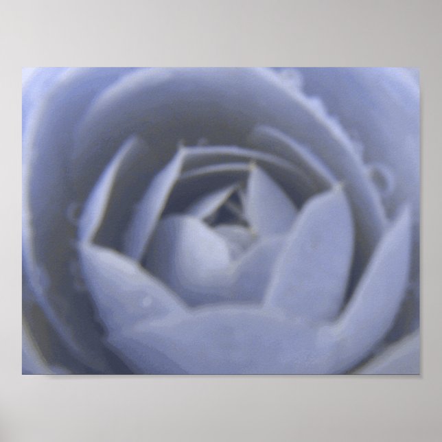 Camellia Frozen Beauty Print (Front)