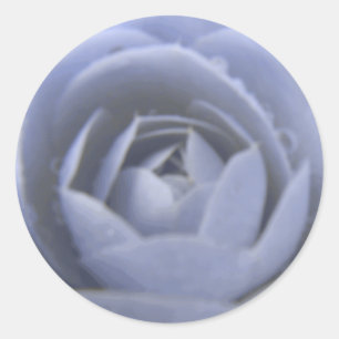 Camellia Frozen Beauty Sticker