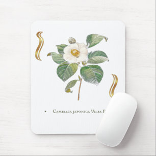 Camellia japonica 'Alba Plena' is a cultivar of th Mouse Pad