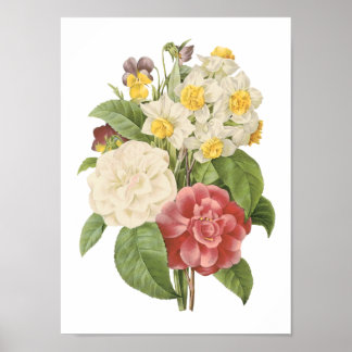 camellia, narcissus, pansy by Redouté Poster