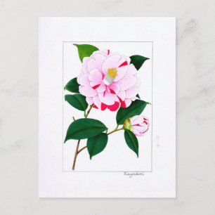 Camellia Plate: Kayoidori Postcard