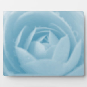 Camellia Whirlpool Plaque