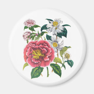 Camellias Magnet