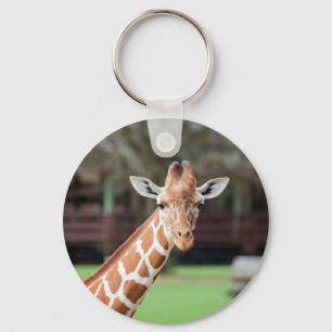 Camelopard (giraffe) key ring
