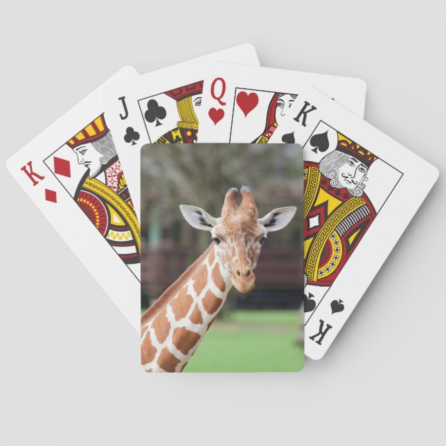 Camelopard (giraffe) playing cards (Back)