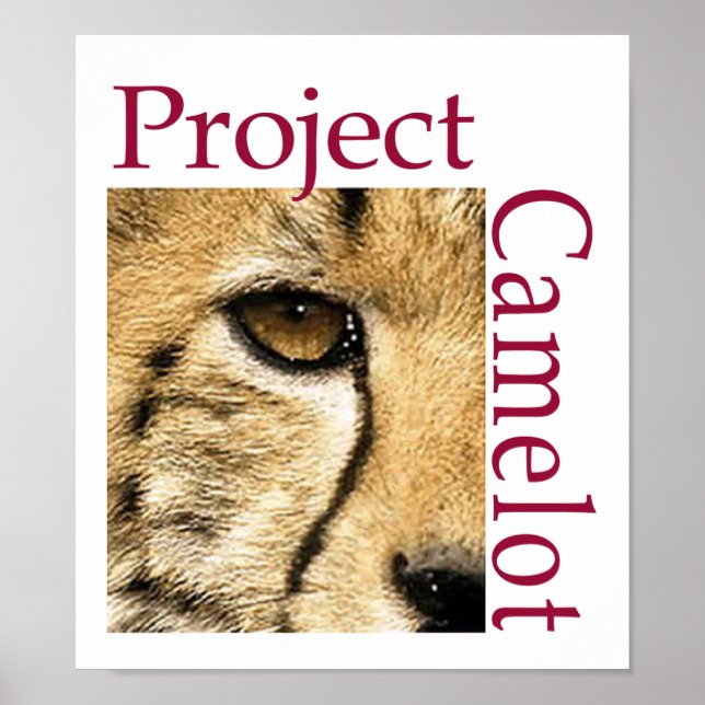 Camelot Logo Poster Project (Front)