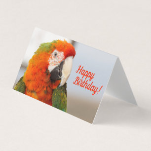 Camelot Macaw Happy Birthday Card