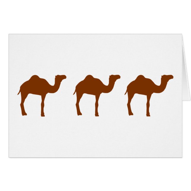 Camels (Front Horizontal)