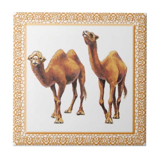 Camels A-Go-Go Tile (Front)