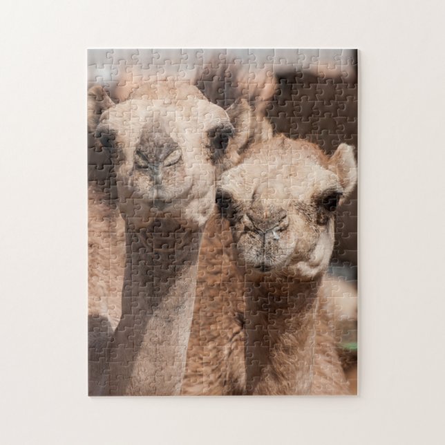 Camels at the Camel market in Al Ain near Dubai Jigsaw Puzzle (Vertical)
