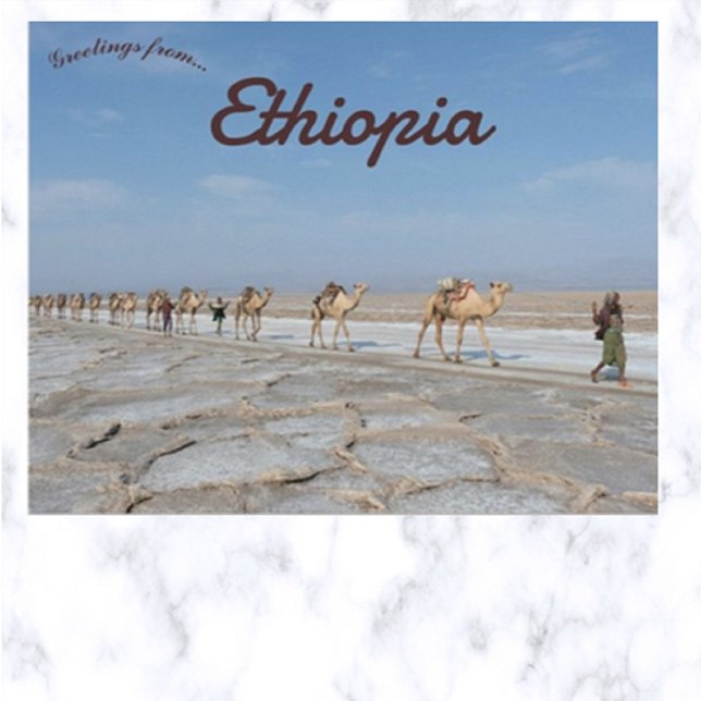 Camels Carrying Salt in Dancalia Ethiopia Postcard (Creator Uploaded)
